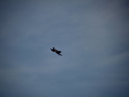 fliegen0803 22